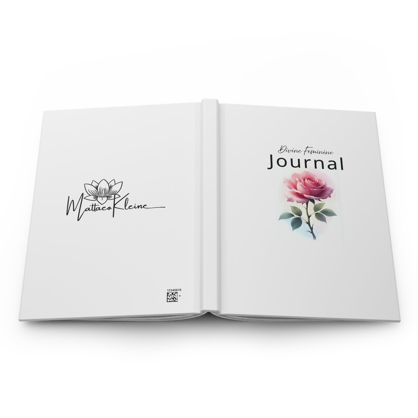 A Divine Feminine Journal