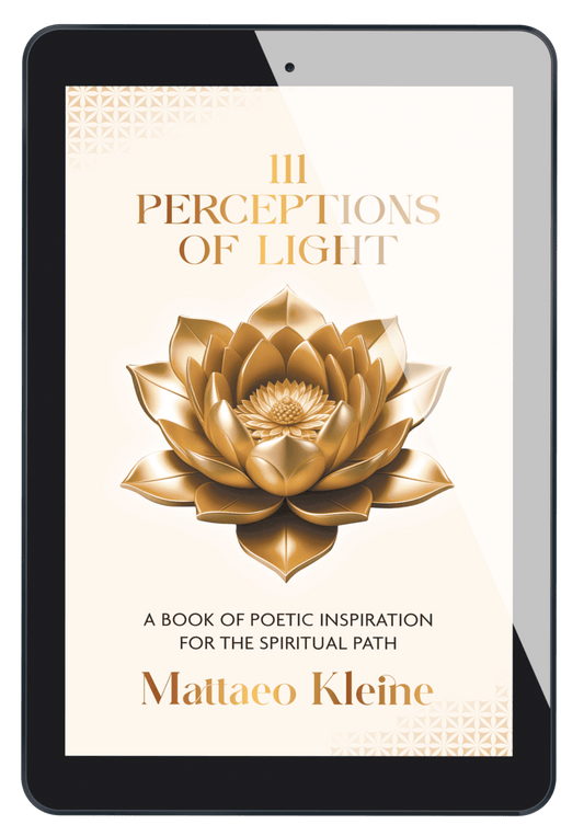 111 Perceptions of Light [e-Book]
