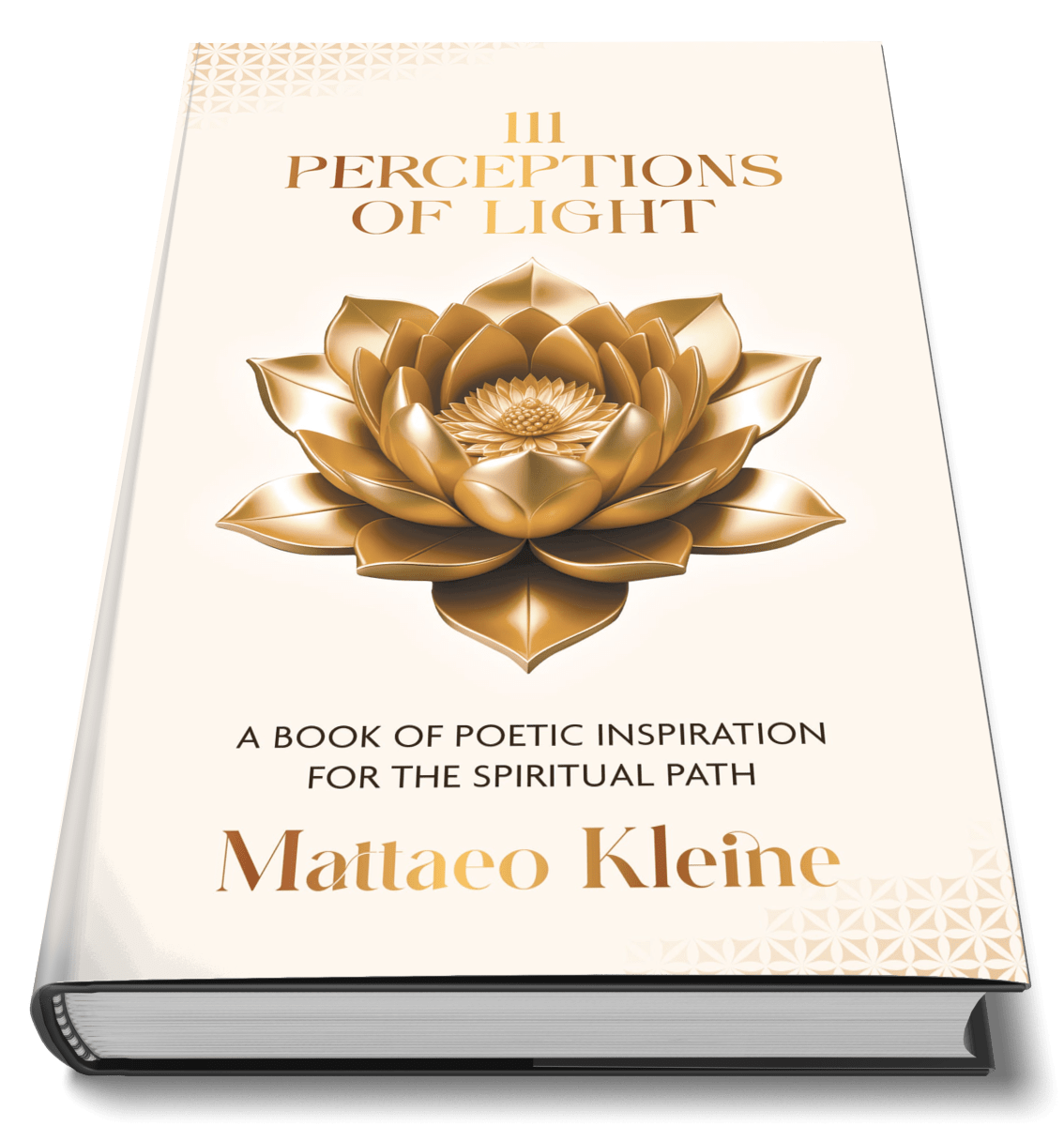 111 Perceptions of Light