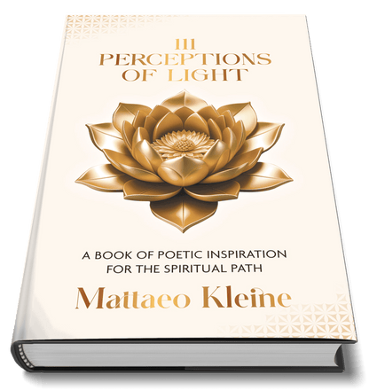 111 Perceptions of Light